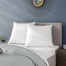 Wayfair Euro Throw Pillows Decoratives You Ll Love In 2021 Free click + collect on all orders over $20.