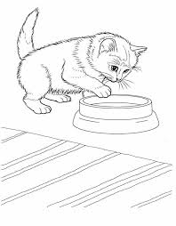 Show your kids a fun way to learn the abcs with alphabet printables they can color. 30 Free Printable Kitten Coloring Pages Kitty Coloring Sheets