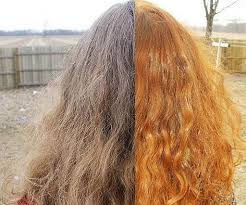 Yara Izi Bogaz Tanga Sifir Kina Rengi Sac Ishappy Org