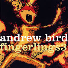Image result for andrew bird i want to see pulaski at night album
