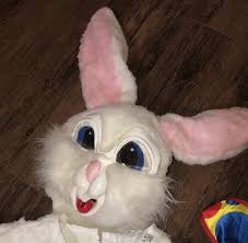 Bunny Costume Adult Happy Easter