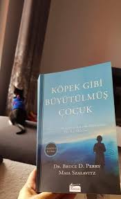 Hazalca Nin Hobi Dunyasi Adli Kullanicinin Kitap Panosundaki Pin 2020 Kitap Sira