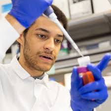 Northern Arizona University Stories