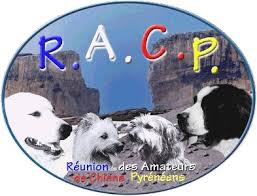Resultado de imagen de racp