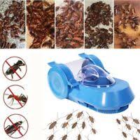 Details zu cluster fly killer from pest expert formula 'c+' (5l). Pest Expert Formula C Cockroach Killer Spray 1l Advanced Control Professional Ebay