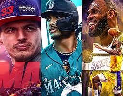 NHL NFL Projects :: Photos, videos, logos, illustrations and branding ::  Behance