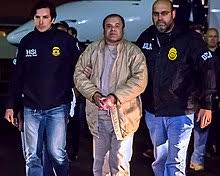 She was busted on international drug trafficking charges in february of 2021. Joaquin El Chapo Guzman Wikipedia