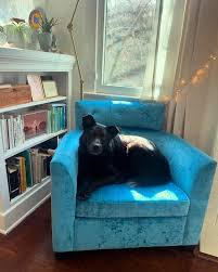 Lisa Ebersole (@lisaebersole) • Instagram photos and videos