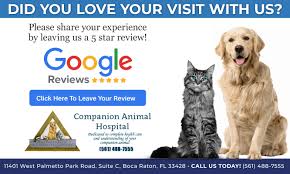 The value our pets bring to our lives is truly immeasurable, but at companion animal hospital of skokie, we have made it our mission to repay as many animals as possible for their unconditional love and companionship. Review Us In Boca Raton Fl Companion Animal Hospital At Logger S Run
