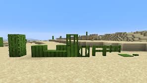 Now you have an automatic cactus farm! Sheared Cactus Items Lol Minecraft