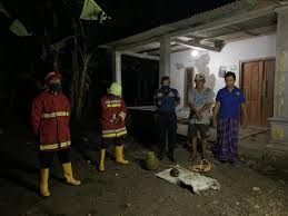 Info cpns 2021, lowongan cpns 2021, pengumuman cpns, berita cpns 2021, formasi cpns 2021, pendaftaran cpns 2021, cpns kabupaten, kota, cpns kementerian Thetrending Breaking News14 Lowongan Kerja Damkar Bali Lowongan Kerja Bpbd Kabupaten Sidoarjo April 2021 Terbaru Info Cpns 2021 Bumn 2021 Lowongan Kerja Terbaru Di Bali