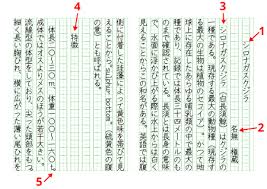 Op may just be referring to vertical writing style. GenkÅ YÅshi Wikipedia
