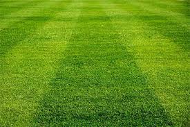 Official lawn care treatment provider of the pga tour, and america's #1 lawn care company based on u.s. Professional Lawn Care Landscaping In Columbus Dublin New Albany Pickerington Grove City Powell Surrounding Areas Landscaping 365