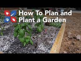 Now, how do we really go about organizing all of this? Do My Own Gardening Episode 3 Planning And Planting Video Domyown Com