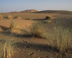 Image of الصحاري