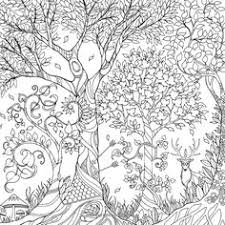 Free forest coloring pages at getcolorings.com | free. Forest Coloring Pages