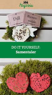 Pin Auf Diy Garten Waschbar Magazin