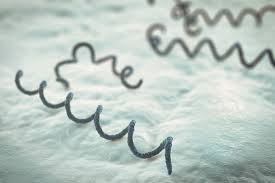 Image result for Treponema