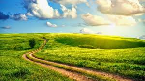 Kết quả hình ảnh cho con đường