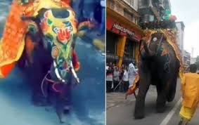Elephant goes on a rampage during Jagannath Rath Yatra procession, several  injured | Udayavani – Latest Kannada News, Udayavani Newspaper