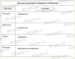гдз по биологии 5 класс рабочая тетрадь корнилова николаев симонова Podvedyom Itogi Chto Vy Uznali O Zhizni Zhivyh Organizmov V Raznyh Ugolkah Zemli Stranicy 66 67 68 69 Rabochaya Tetrad Po Biologii Kornilova Nikolaeva Simonova 5 Klass
