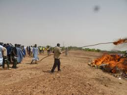 Direct Nigert - Niger: Dosso accueille la célébration de la journée  internationale de lutte contre le trafic et labus de drogue