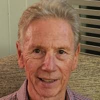 200+ "Stoutamire" profiles