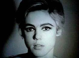 Edith Minturn Sedgwick: The Hell of A Muse