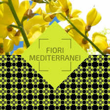 Nel mio blog parlo di piante e di giardini mediterranei e realizzo post con cruciverba, quiz ed anagrammi botanici. Ambience Parfum Classic Fiori Mediterranei Glamour Cosmetics