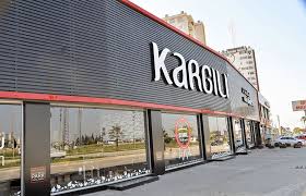 frozen koltuk takimi kargili mobilya