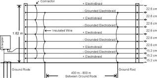 Today's powered wood routers can offer variable speed control, quiet motors, and precise routing. Deer Exclusion Devices And Deterrent Techniques