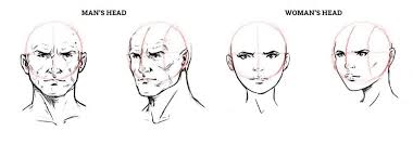 How To Draw A Face Drawing The Male And Female Head Front And 3 4 Face Drawing Female Head Drawings