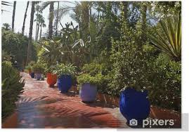 Savesave jardins du maroc for later. Les Belles Couleurs Du Jardin De Majorelle A Marrakech Au Maroc Poster Pixers We Live To Change
