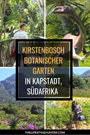 Botanischer garten im stadtteil newlands von kapstadt (de); Pin Auf Sudafrika Entdecken