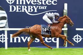 You can check the epsom derby odds right here. Serpentine And Emmet Mcnamara Winners Epsom Derby 2020 Images Horse Racing Posters