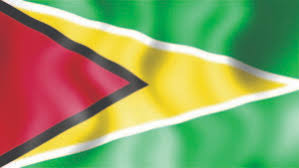 Golden arrow lakeside resort is located on a private beach and in a walkable area with good shopping. Our Nation Symbols Guyana Times International The Beacon Of Truth