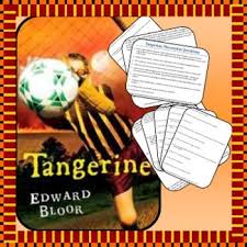 Assess Comprehension Of The Novel With These Questions Why Should You Purchase This Packet Huge Time Saver Inclu This Or That Questions Novels Tangerine