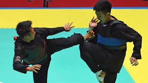 Dalam pertandingan pencak silat, teknik pukulan yang sering dipergunakan adalah pukulan depan, pukulan sangkal/bandul, pukulan samping, dan pukulan melingkar. Mau Seperti Yayan Ruhian Di John Wick 3 Kuasai 6 Teknik Dasar Pencak Silat Ini Bukareview
