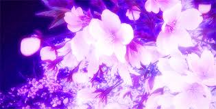 Wallpaper mobil sport 3d hd wallpaper mobil sport 3d android wallpaper most beautiful scenery photos wallpaper motor drag thailand wallpaper mitsubishi car logo wallpaper animated 3d desktop wallpaper download. Anime Purple Aesthetic Gif Novocom Top