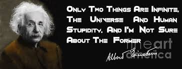Maybe you would like to learn more about one of these? Einstein S Quote On Human Stupidity Puzzle For Sale By Doc Braham