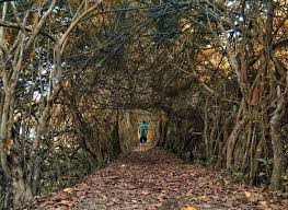We did not find results for: 10 Destinasi Wisata Di Tulang Bawang Barat Sederhana Tapi Menarik Destinasi Travel Indonesia