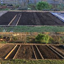How To Start An Allotment: Beginners Guide | Horticulture.co.uk