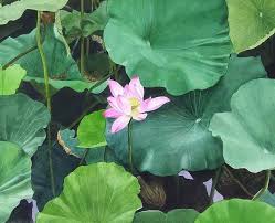 Ancient egypt a simple tattoo of a lotus flower with an egyptian god or goddess, depicts the art representation of the sun, as the creator of life, according to the ancient egyptian history. 20 Lotus Flower Tattoo Design Ideas Meaning And Inspirations Saved Tattoo