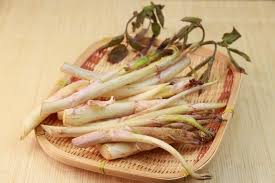 うどには意外な栄養が 旬を知って料理を楽しもう たべるご