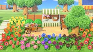 Isla On Instagram Flower Market Rainbow Vibes Finally Grew Some Hybrids Lf Different Things To Put O Rainbow Garden New Animal Crossing Garden Animals