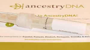 Ancestrydna, like all of the services we tested, also relies on dna samples from its own customers who have consented to participate in such research. Dna Tests For African Americans Afroroots Dna