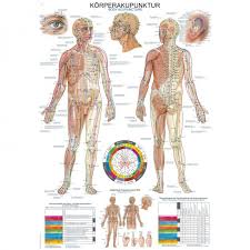 Body Acupuncture Poster
