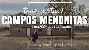 Ver más ideas sobre menonitas amish chihuahua méxico. Tour Campos Menonitas Cuauhtemoc Chihuahua Youtube