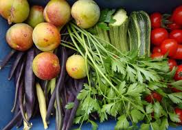 Logically, vegetable plants that don't receive enough water can eventually die. Vegetable Vs Flower Gardening Why Not Both Finegardening