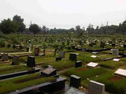Berputar, maka matahari tampak seperti terbit dan terbenam. Trik Menentukan Arah Mata Angin Tanpa Kompas Agar Tak Tersesat